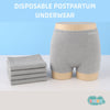 Disposable Postpartum Underwear (Set of 4)