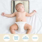 Newborn Cuddle Care Combo (Baby Gaddi/Mattresses + Mustard Seed Pillow + Bamboo Blanket + Muslin Swaddle Wraps)